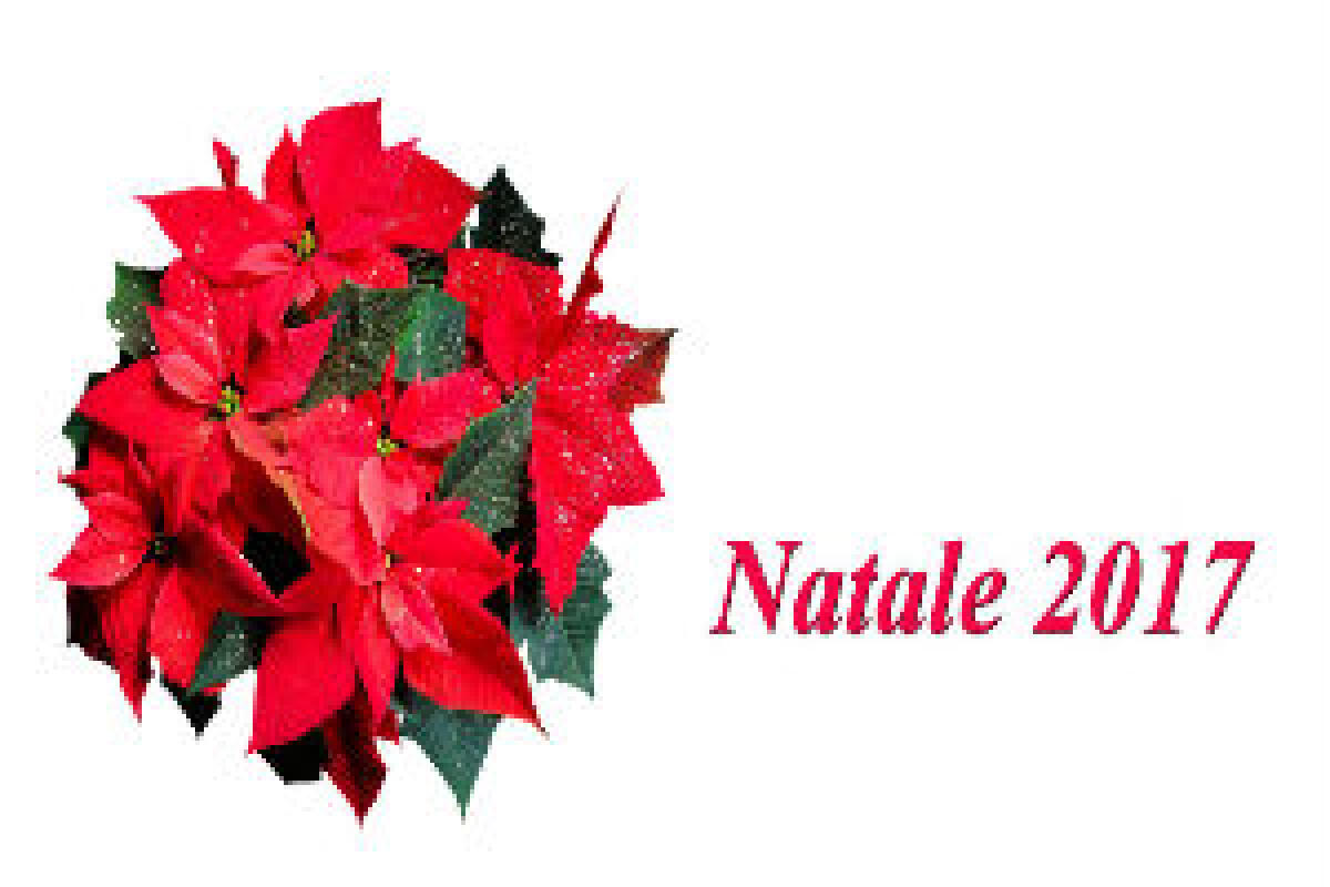 Dignità vs decoro. Era il  Natale del 2017 - 