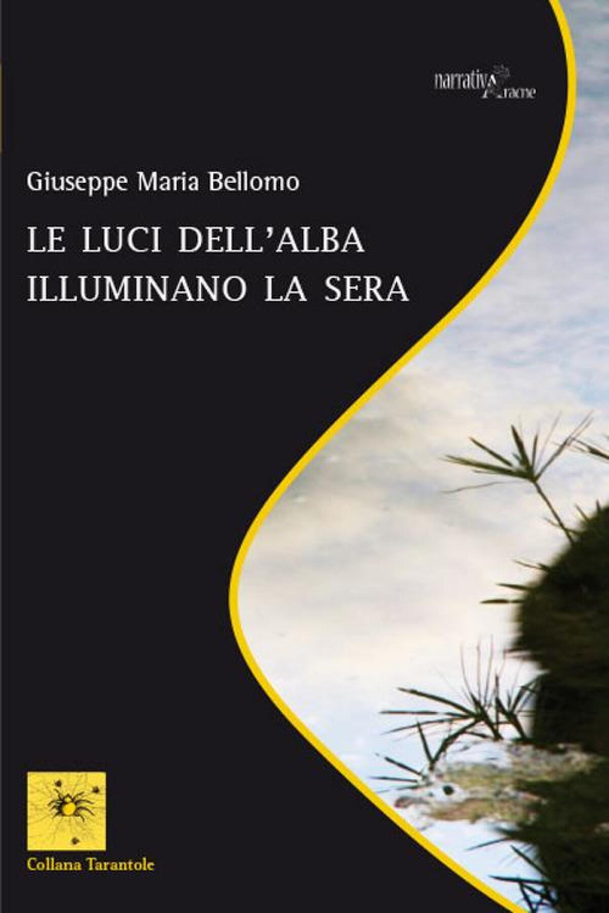 Enna. “Le luci dell’alba illuminano la sera” l’ultimo libro dell’ennese Giuseppe Maria Bellomo - 