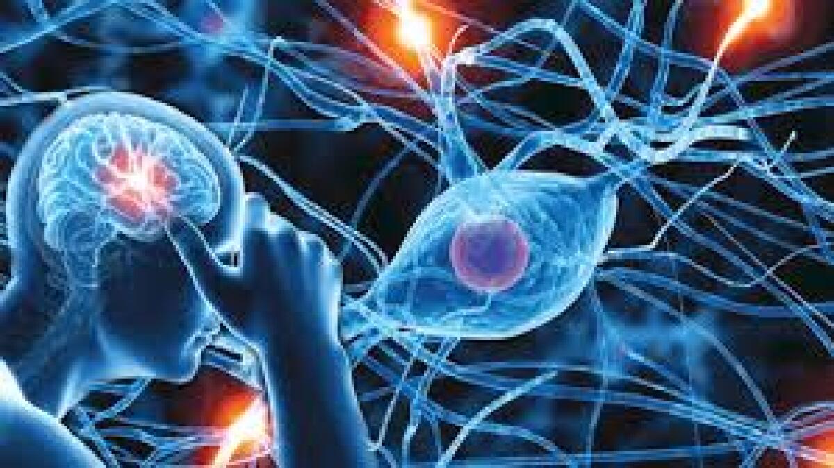 Nuova tecnica per curare i disturbi neurologici - 