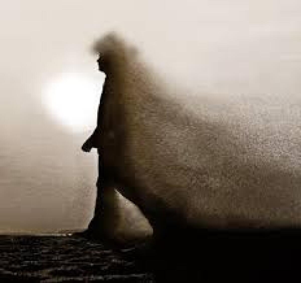 Il cittadino cuore della società. Un’insolita alleanza - 