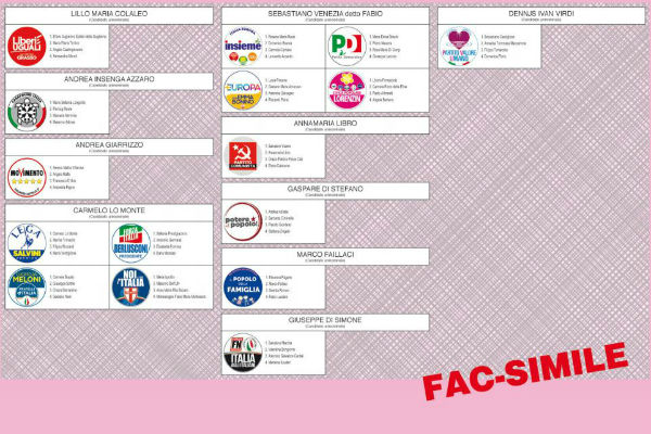 Elezioni politiche 2018. Enna eletto alla Camera Andrea Giarrizzo M5S, al Senato Fabrizio Trentacoste e Pietro Lorefice M5S