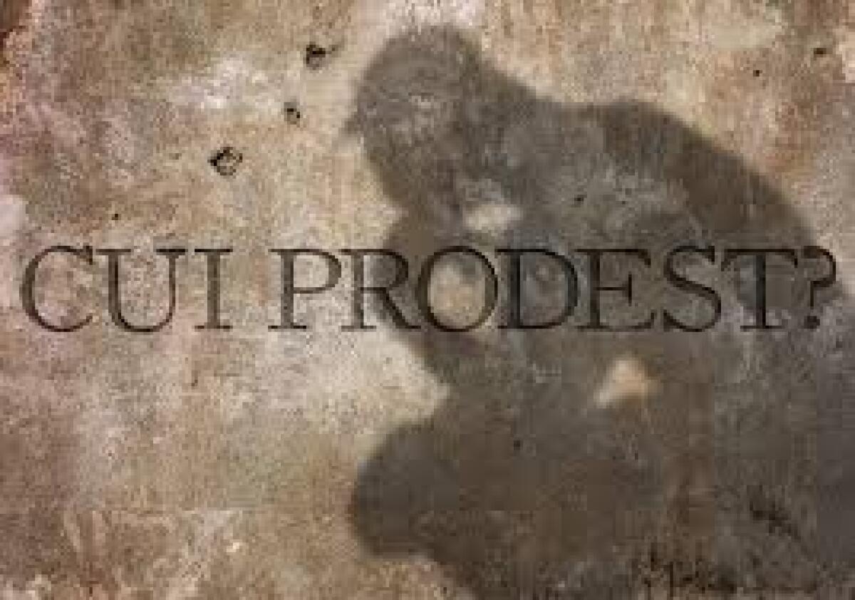 Situazione politica della zona di Enna: "cui prodest" - 