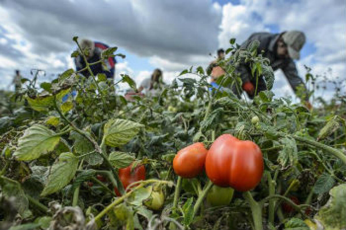 Ma che colpa abbiamo noi? - 