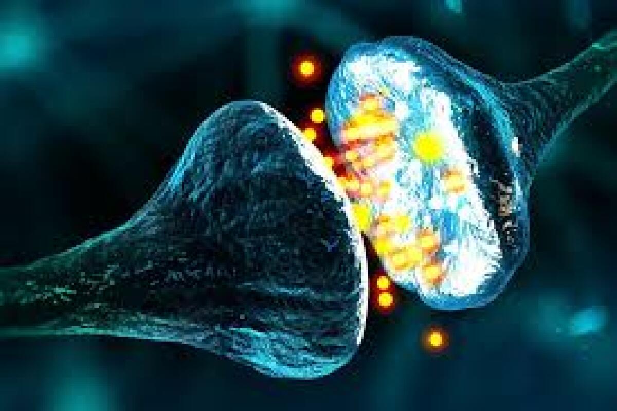 Sinapsi artificiali per la comunicazione neuronale - 