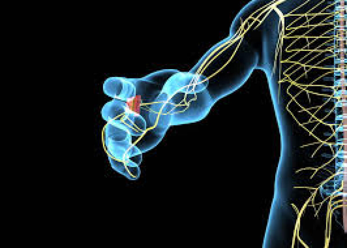 Il dolore da neuropatia si cura mangiando meno - 