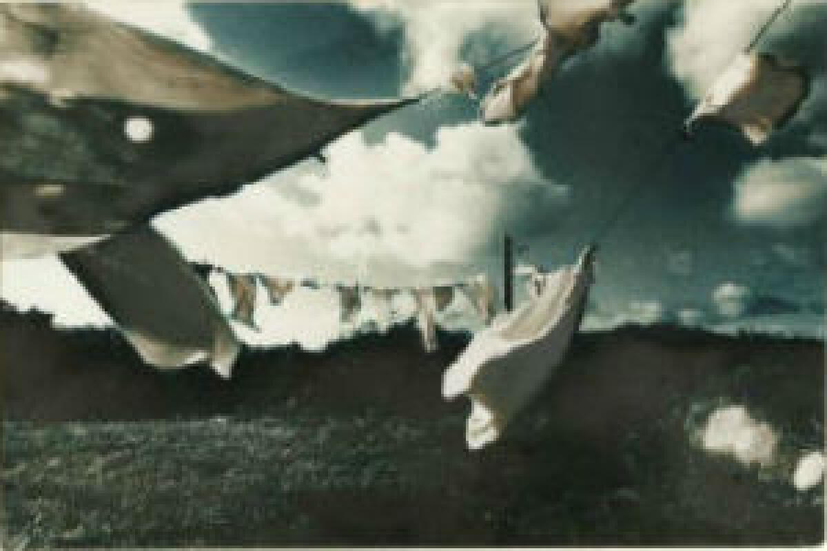 I “pannizzi” salveranno il Pianeta - 