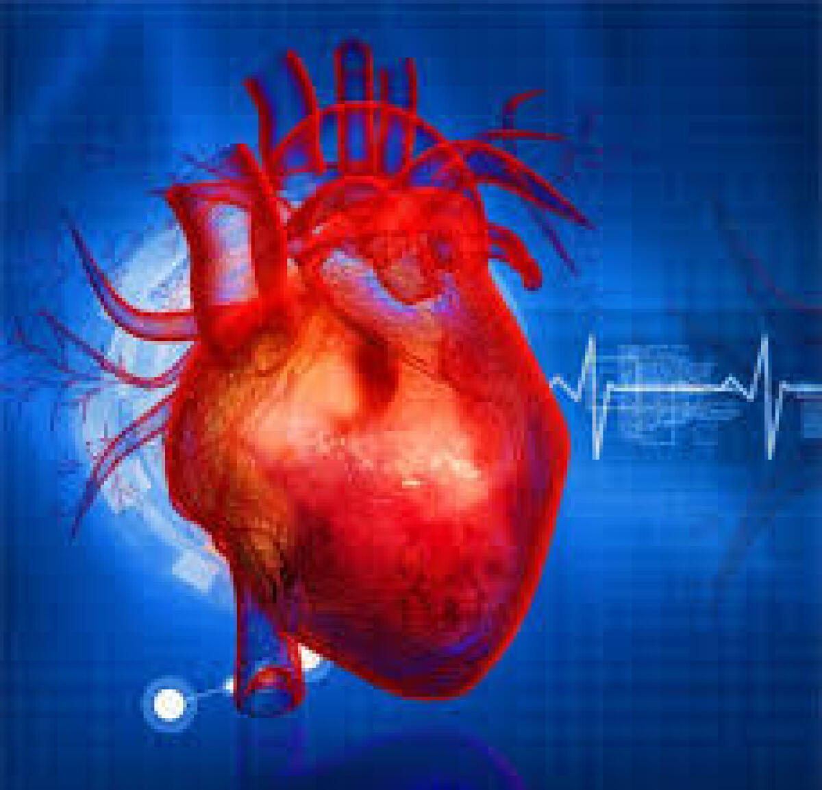 Nuovi materiali intelligenti: un passo verso il cuore artificiale - 