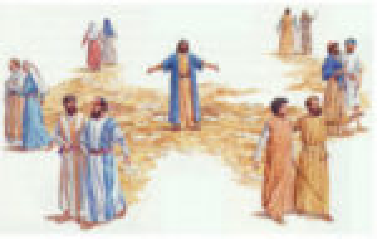 Voler essere discepoli del Cristo - 