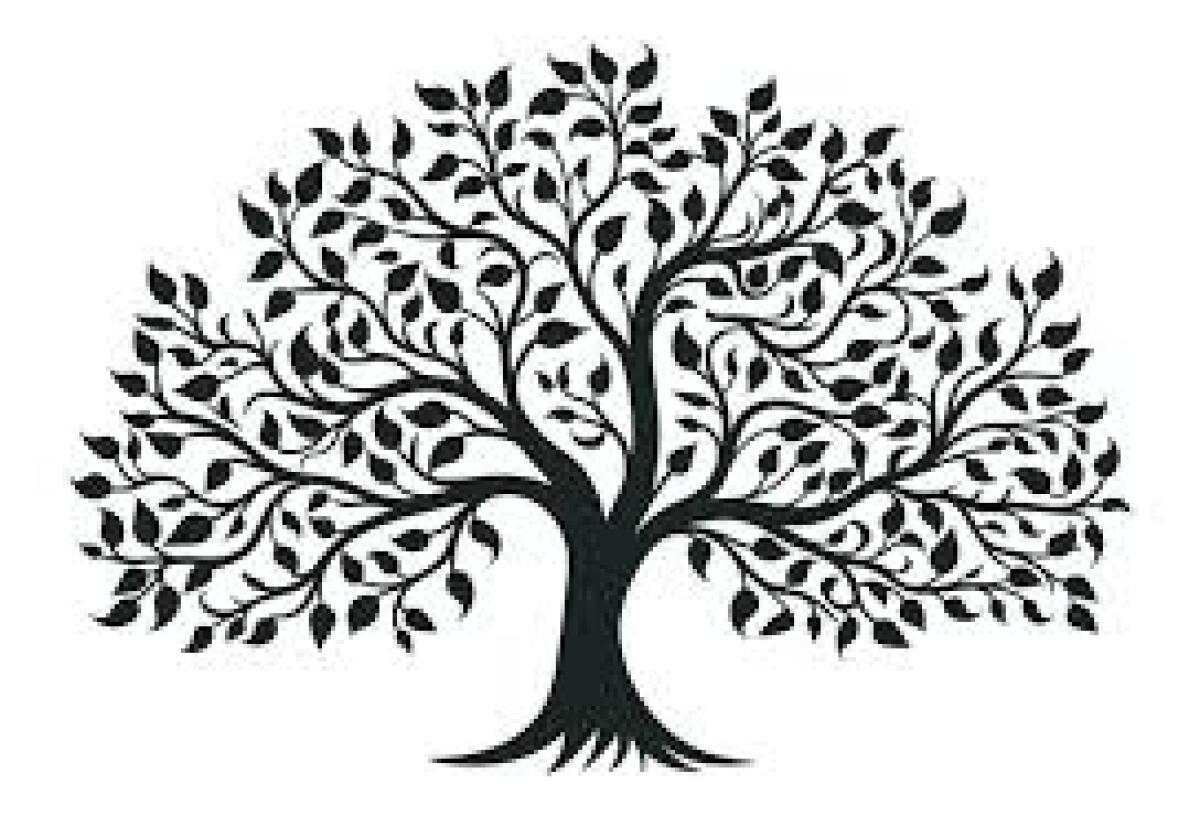 La persona: valori ed emergenze - 