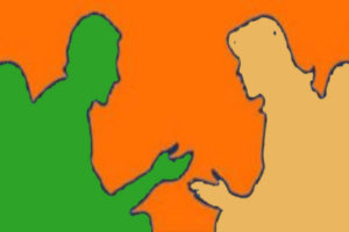 Femminicidi. I professionisti dell’antiviolenza - 