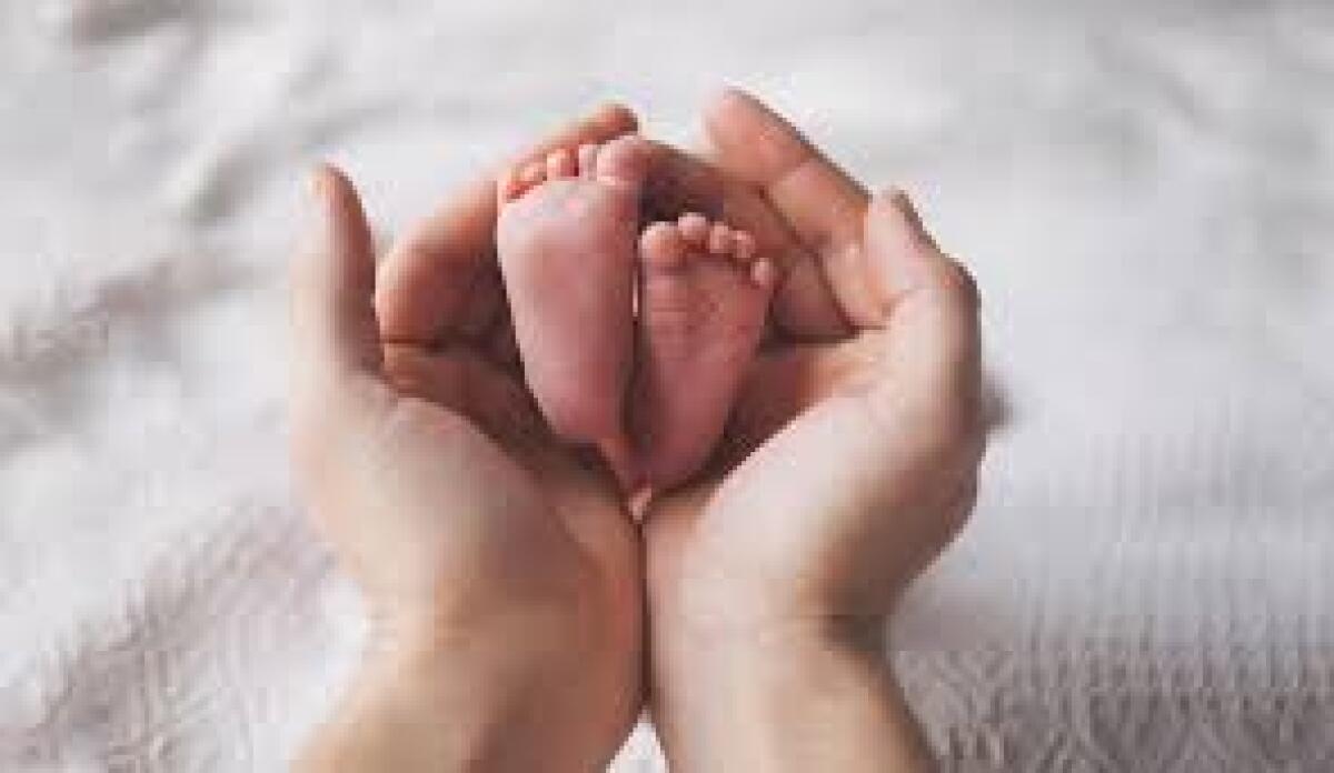 Nascere per vivere e generare - 