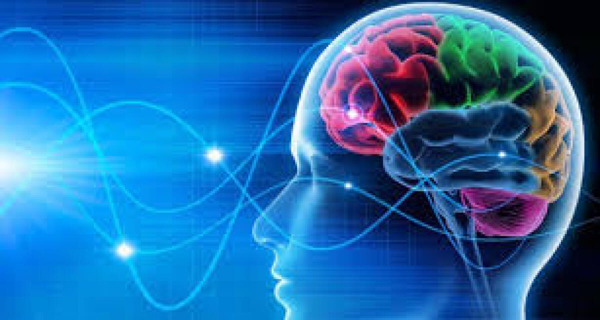 Nuova luce sulla codifica degli odori a livello cerebrale - 