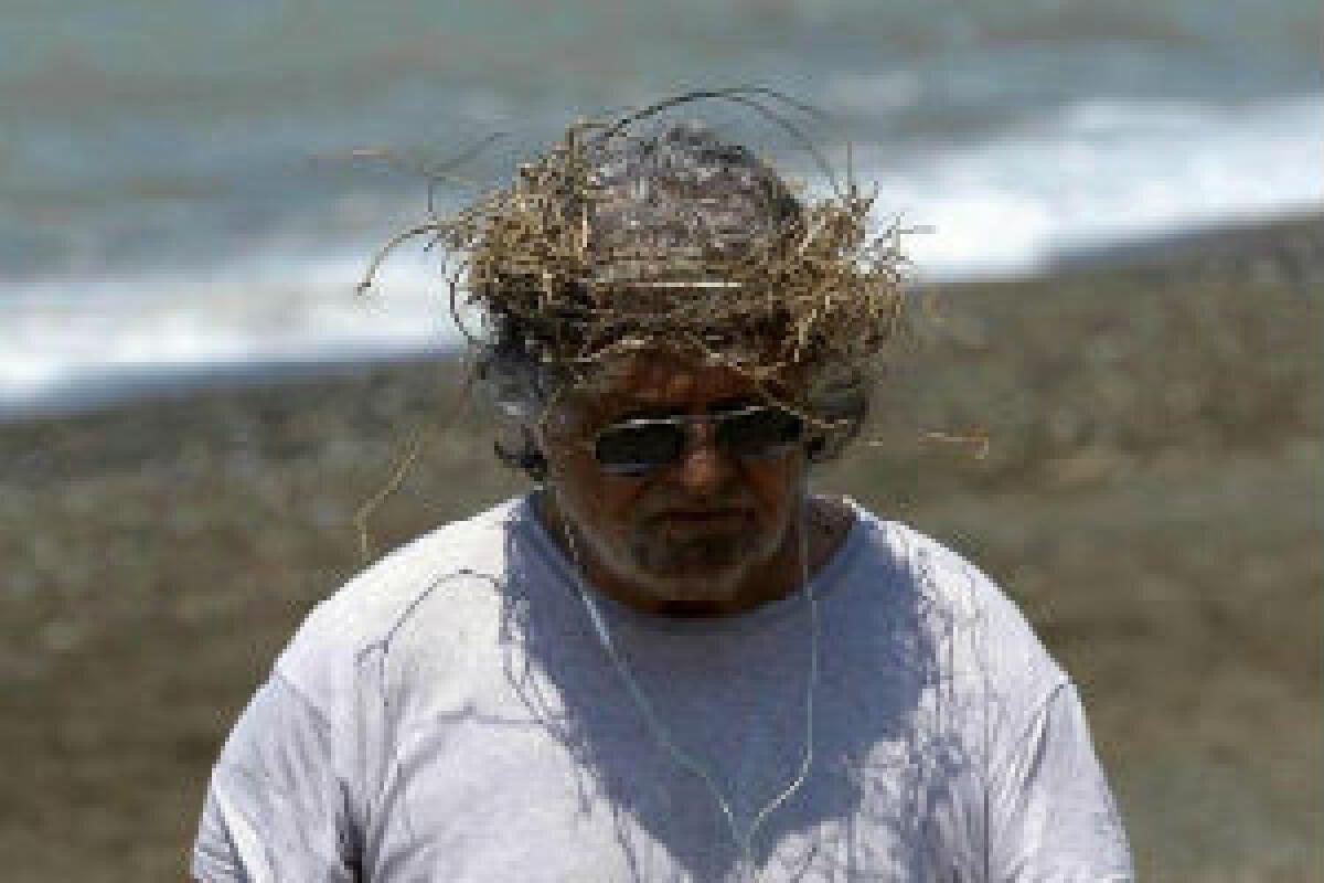 LA MORTE DEL GRILLO - 