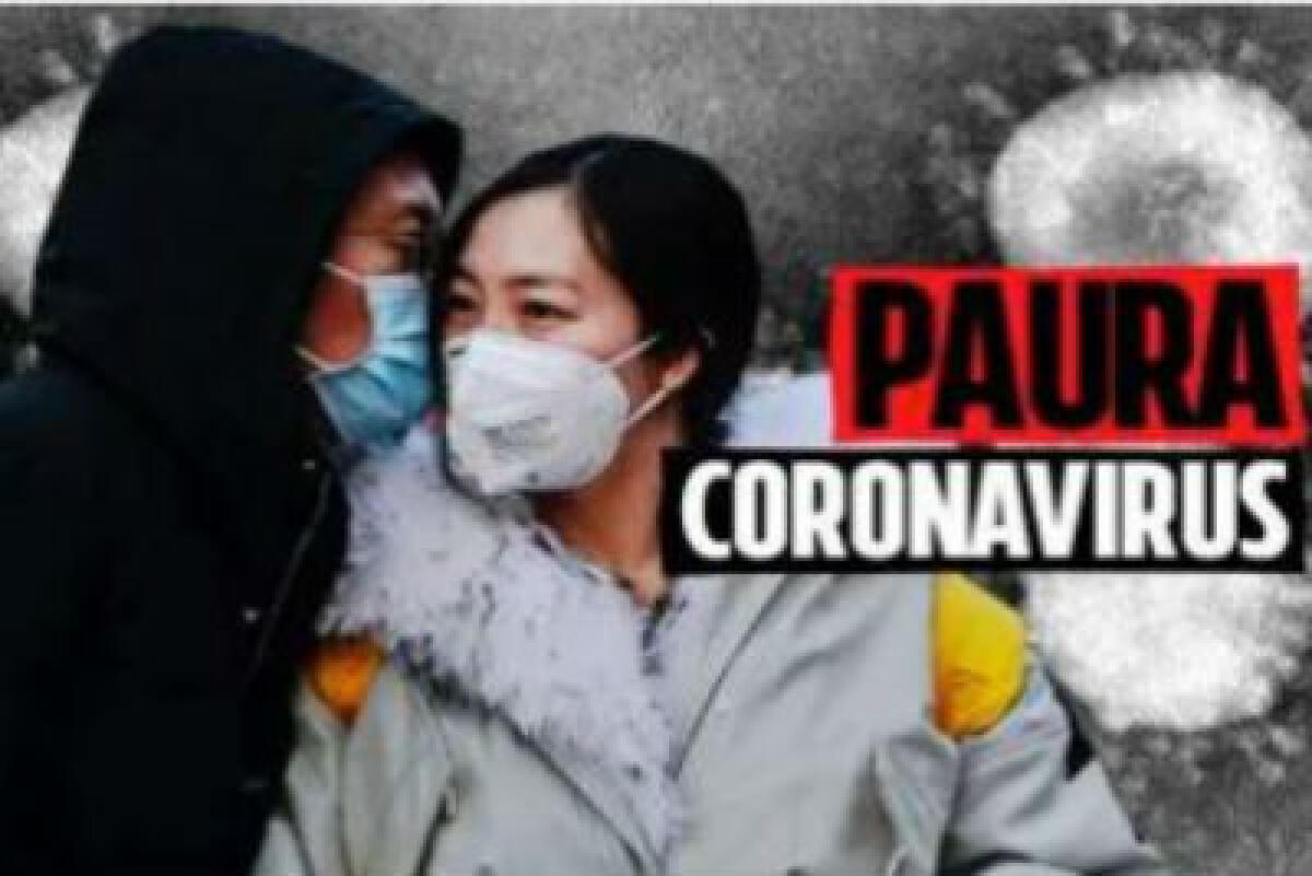 Covid-19: abbonda solo la disperazione? - 