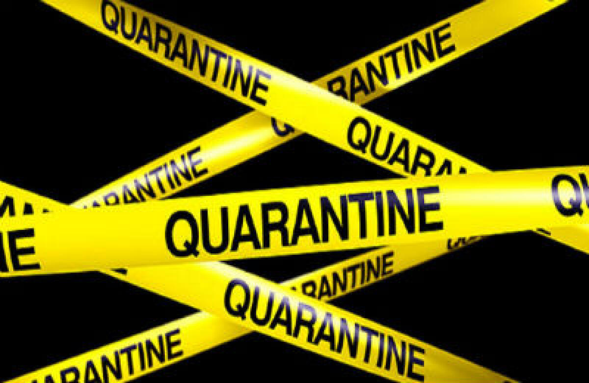 Borrelli: quarantena sine die? - 