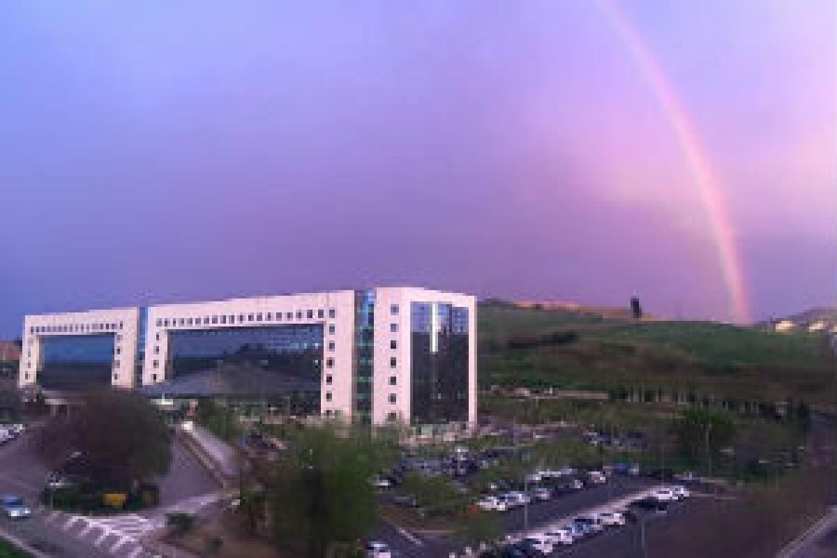 Il Gruppo di lavoro che l’assessore Razza ha affiancato ai vertici dell’Asp di Enna tarda ad arrivare - 