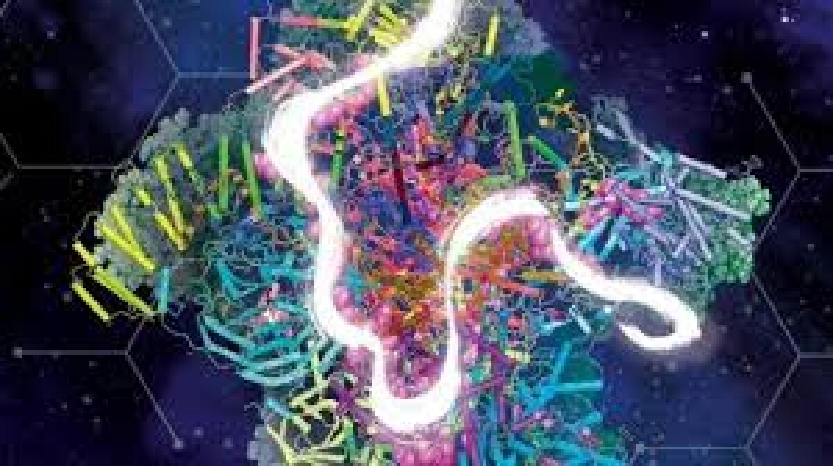 Spliceosoma: come si propaga l’informazione giusta nelle cellule - 