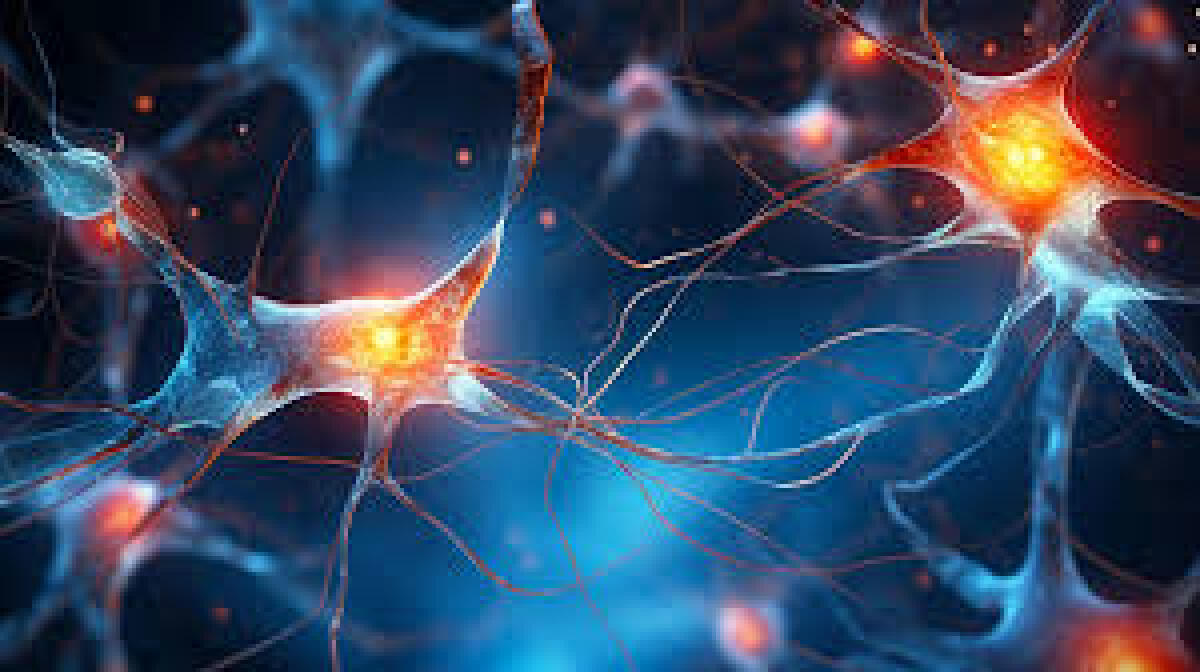 Scoperto nuovo meccanismo per sindrome deficienza CDKL5 - 