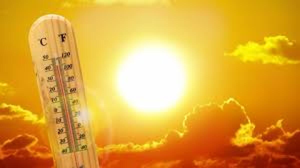Arriva il Caldo! Come difendersi - 