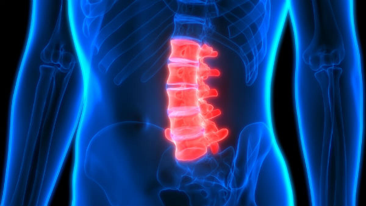 Una speranza per la cura della paraplegia indotta da lesione midollare - 