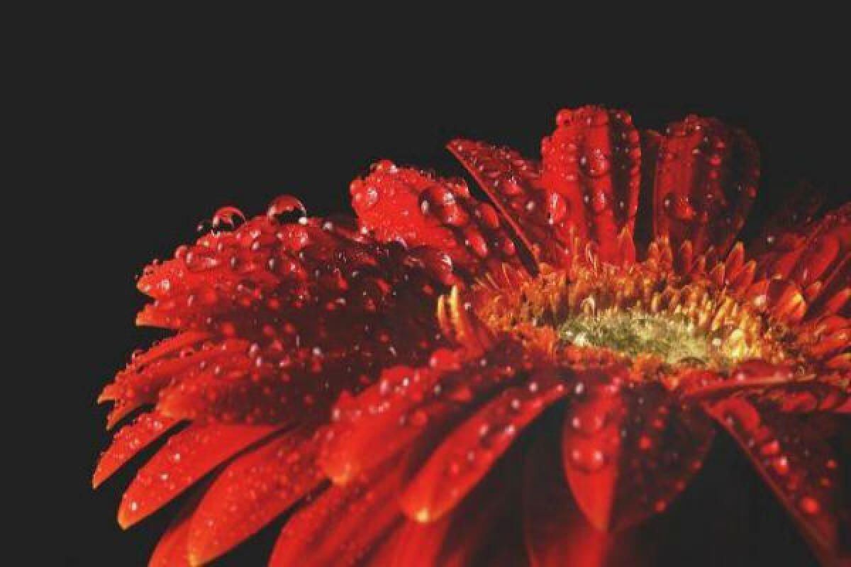 Le leggi non bastano, ci vuole una cultura di parità di generi per eliminare la violenza contro le donne - 