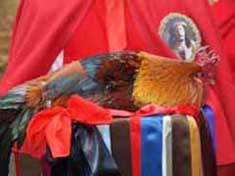 Pasqua a Enna, riti Settimana Santa - video e foto