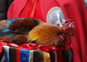 Pasqua a Enna, riti Settimana Santa - video e foto