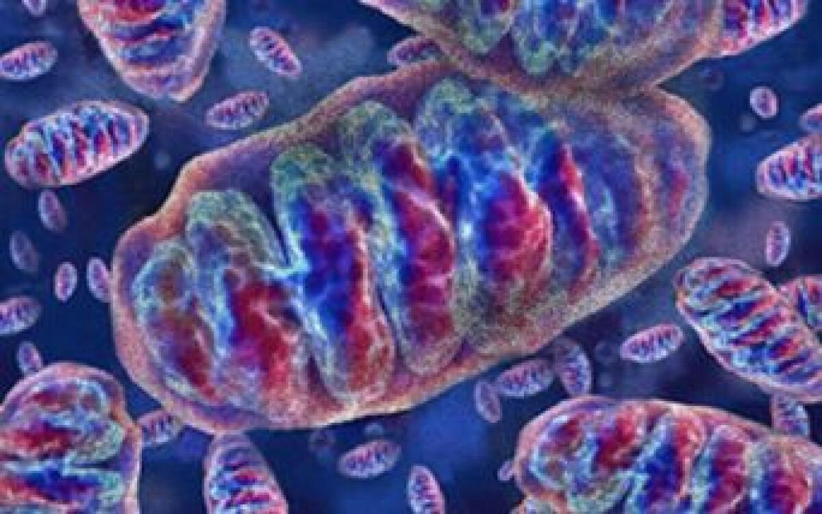 Una nuova arma contro la paraplegia spastica ereditaria - 