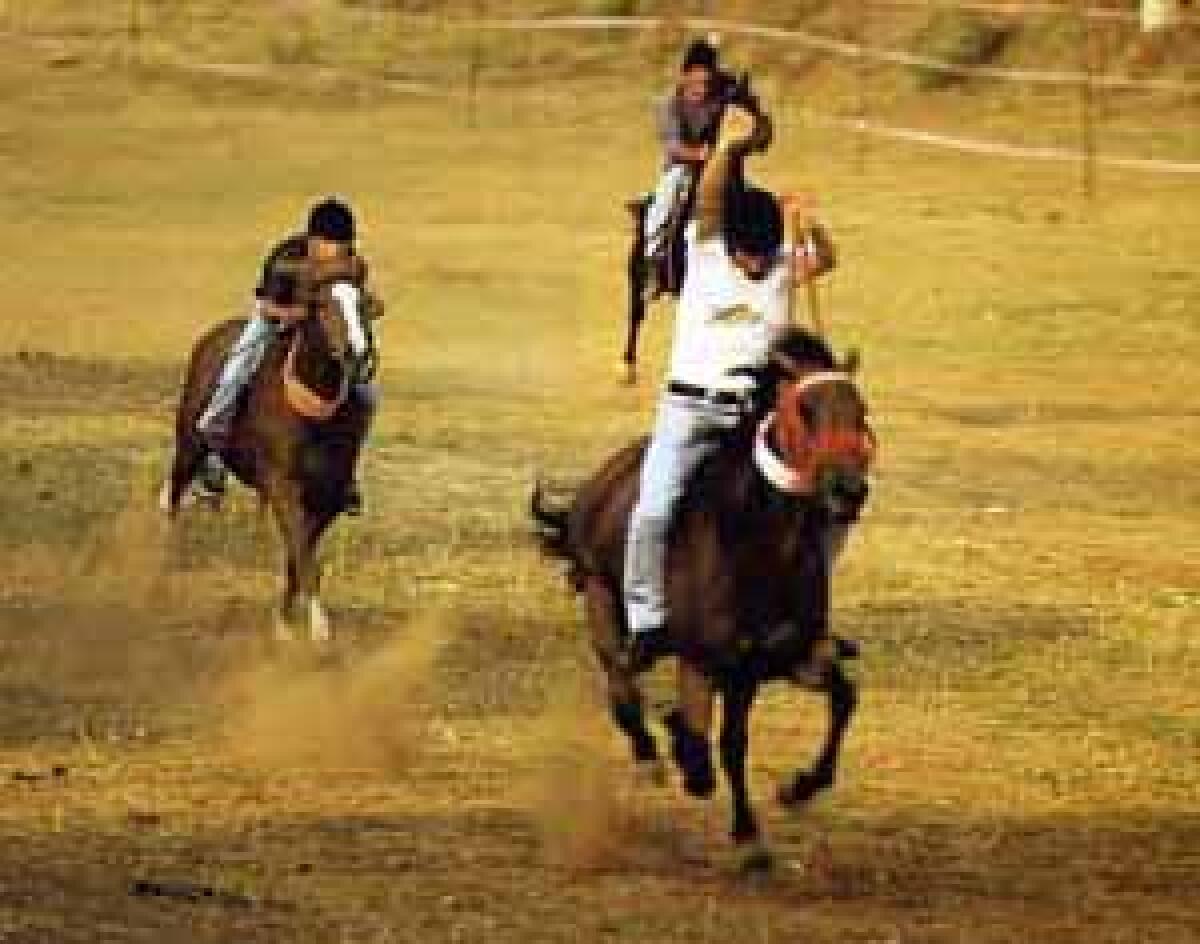 Il palio dei Berberi a Calascibetta - 