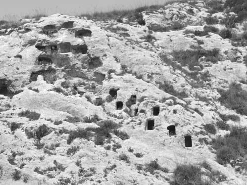 Calascibetta. Necropoli di Realmese