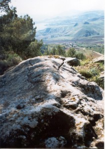 Calascibetta. Necropoli di Realmese