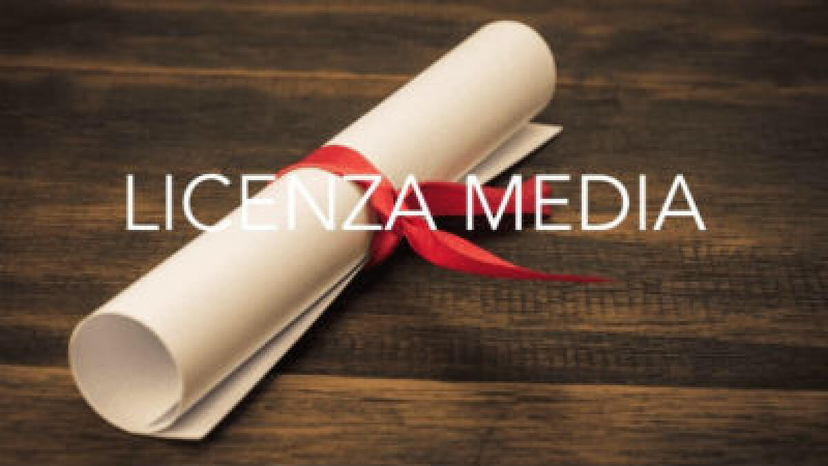 OpenPolis. A Enna il 59,7% dei residenti con al massimo la licenza media - 