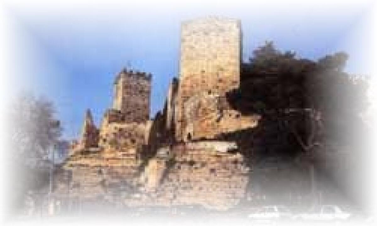 Enna. Una città, un castello, le torri - 