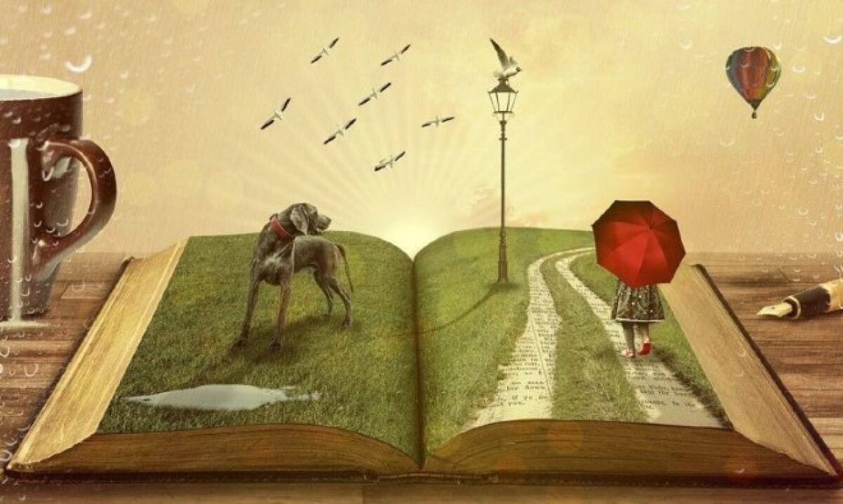 GRAZIE, a chi sa leggere e capire i nostri articoli - 