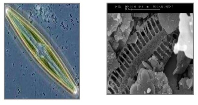 Assoro, sottosuolo le miniere di zolfo, salgemma, tufi, alabastro e gesso