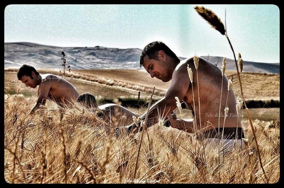 Maria SS. della Visitazione Patrona di Enna - video e foto