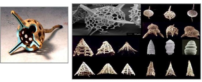 Assoro, sottosuolo le miniere di zolfo, salgemma, tufi, alabastro e gesso