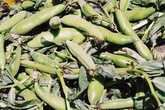 L’Istituto Alberghiero “Don Pino Puglisi” di Centuripe e la valorizzazione dei “prodotti a km zero”