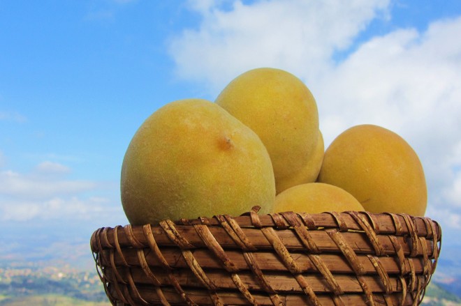 L’Istituto Alberghiero “Don Pino Puglisi” di Centuripe e la valorizzazione dei “prodotti a km zero”