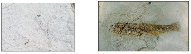 Assoro, sottosuolo le miniere di zolfo, salgemma, tufi, alabastro e gesso