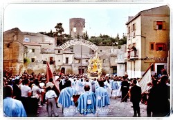 Maria SS. della Visitazione Patrona di Enna - video e foto