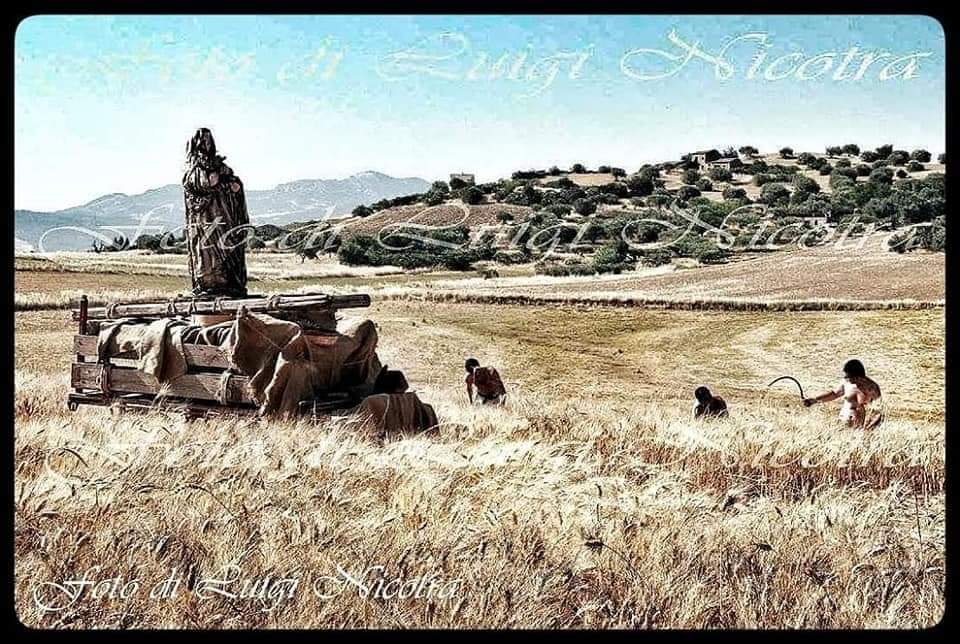 Maria SS. della Visitazione Patrona di Enna - video e foto