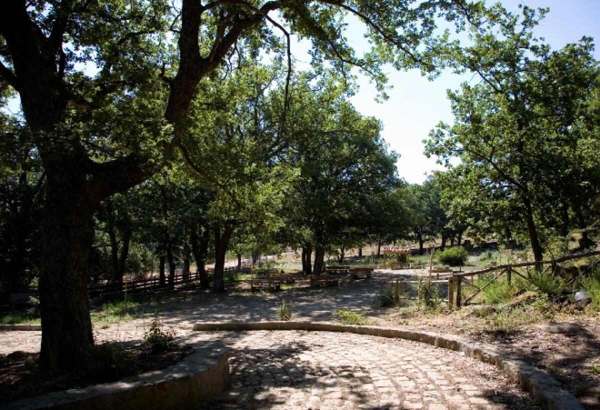Cerami. Parco urbano ‘Zuccaleo’, sentieri naturalistici, riserva Campanito-Sambuchetti - 