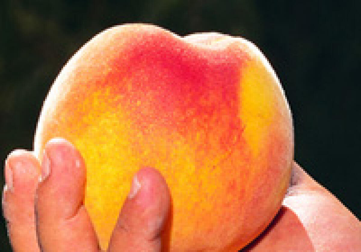 Le pesche di Leonforte - 