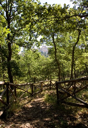 Cerami. Parco urbano ‘Zuccaleo’, sentieri naturalistici, riserva Campanito-Sambuchetti