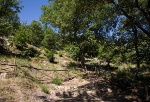 Cerami. Parco urbano ‘Zuccaleo’, sentieri naturalistici, riserva Campanito-Sambuchetti