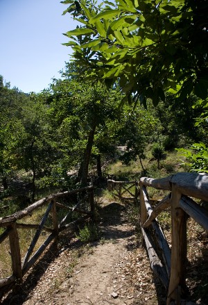 Cerami. Parco urbano ‘Zuccaleo’, sentieri naturalistici, riserva Campanito-Sambuchetti