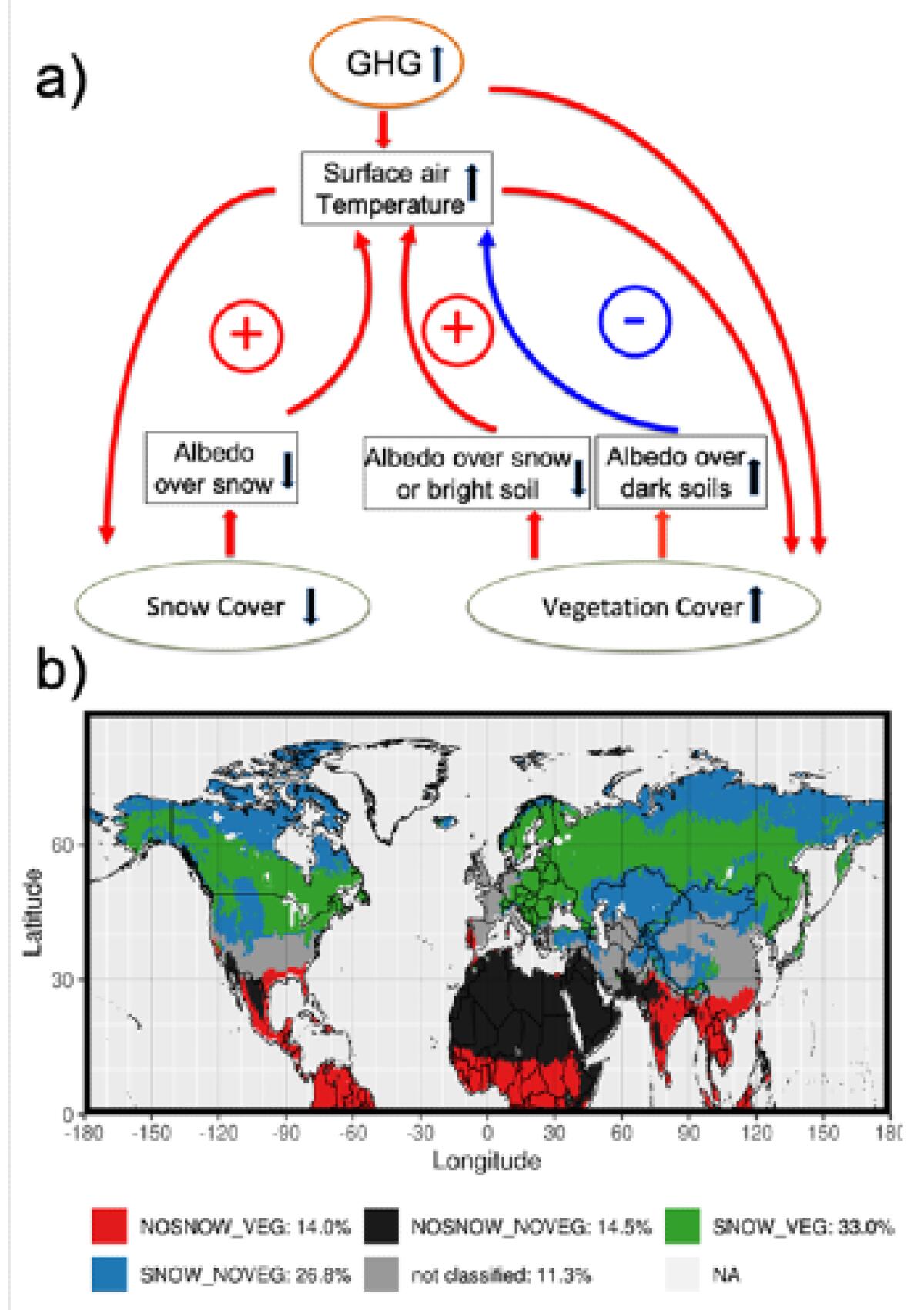 Neve e vegetazione modulano il riscaldamento climatico - 
