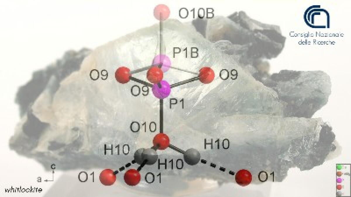 Imparare dai meteoriti per migliorare le protesi ossee - 