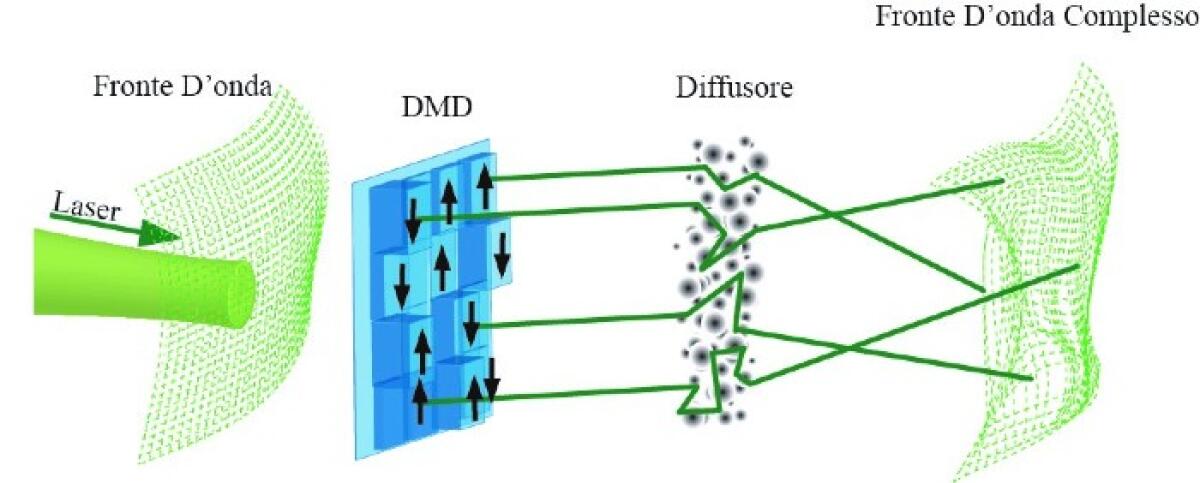 Algoritmo ottico per simulazione numerica dinamica di un vetro di spin - 